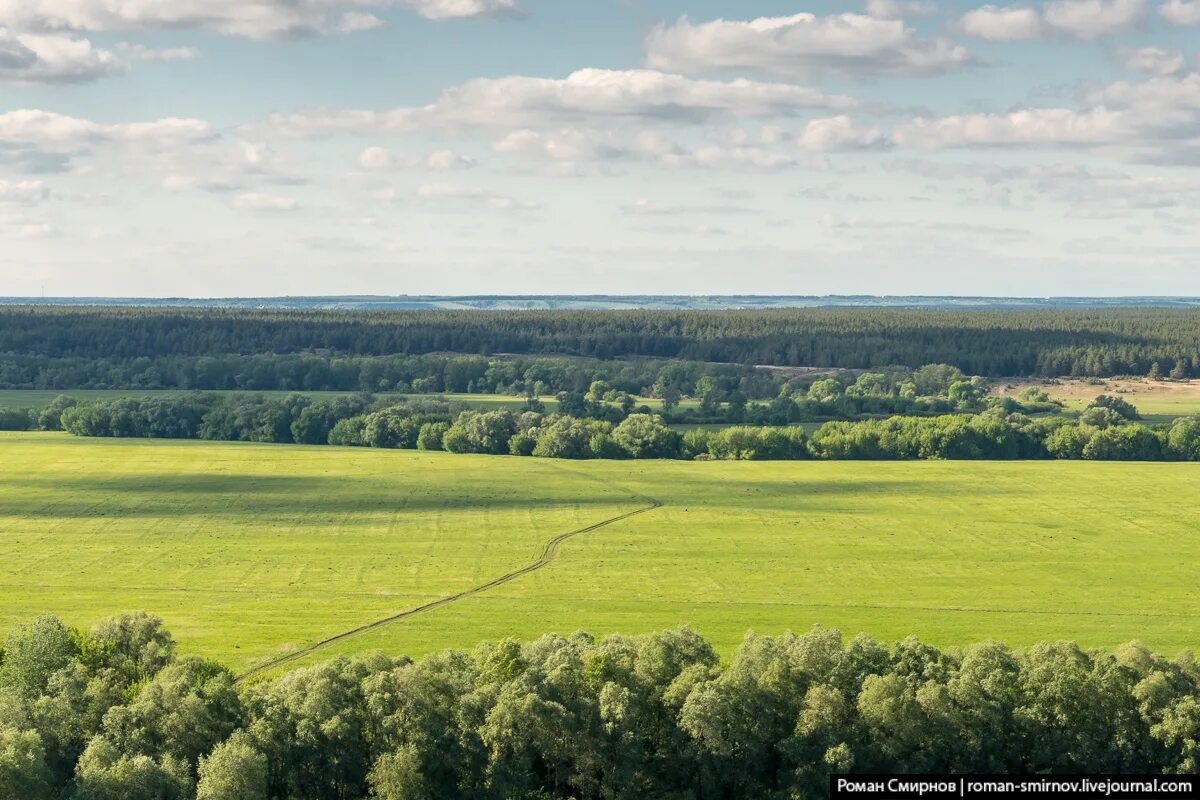 Черноземье курская область. Черноземье поля. Центральное Черноземье природа. Красивая природа Черноземья. Картины природы Черноземья.