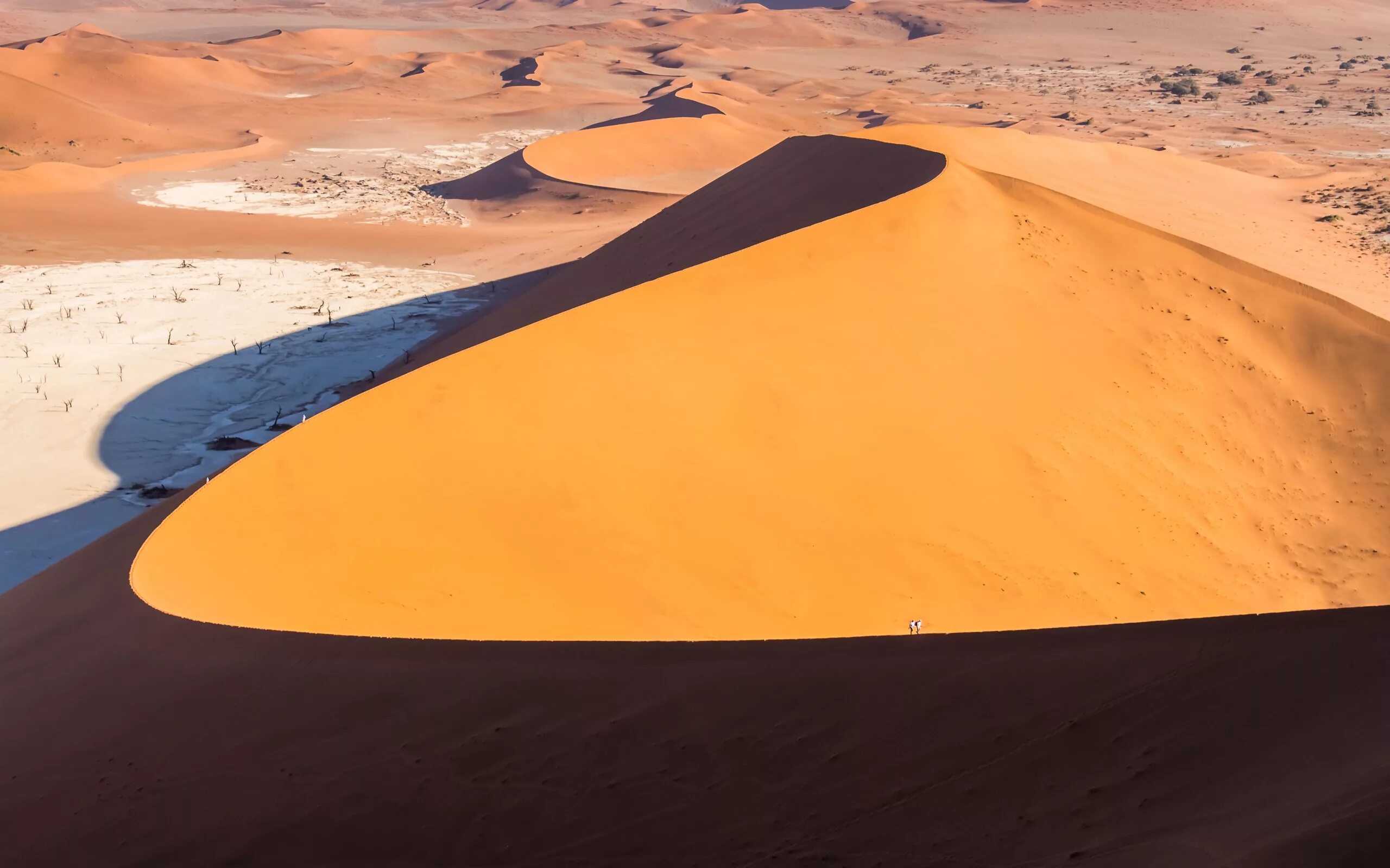 Самая большая по площади пустыня земли. Дюна рельеф. Параболические дюны. Бархан рельеф. Песчаные дюны Шарджа.
