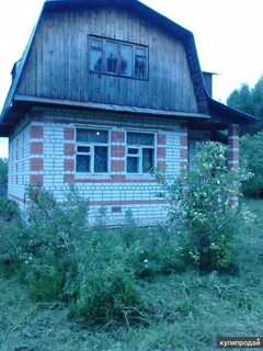 Снт шелухово нижегородская область