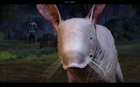 Странные гости 2