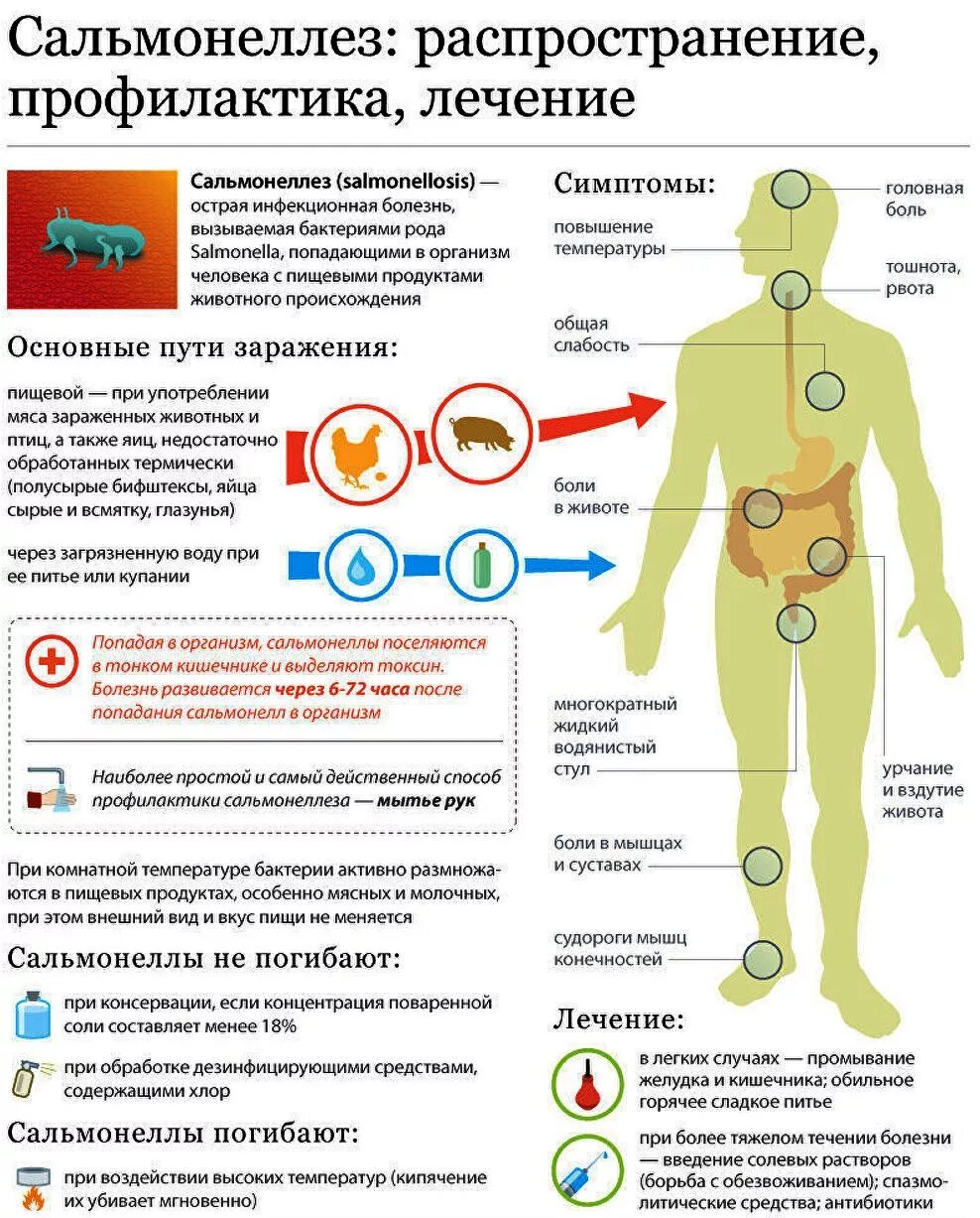 Сальмонеллез причины симптомы профилактика. Симптомы заражения сальмонеллезом. Сальмонеллез профилактика распространения инфекции. Заражение сальмонеллой симптомы. Отравление сальмонеллезом