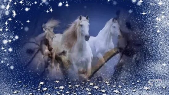Три белых коня. Белый конь в новогоднюю ночь. Белые кони зимней ночью. Белая лошадь зимой.