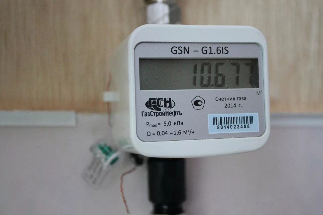 Газовый счетчик GSN-G1.6is. Газовый счётчик GSN-G1.6is открытый. Газовый счетчик GSN 1 6. Газовый счетчик GSN-g1.GIS. Счетчик gsn g 1.6 is купить