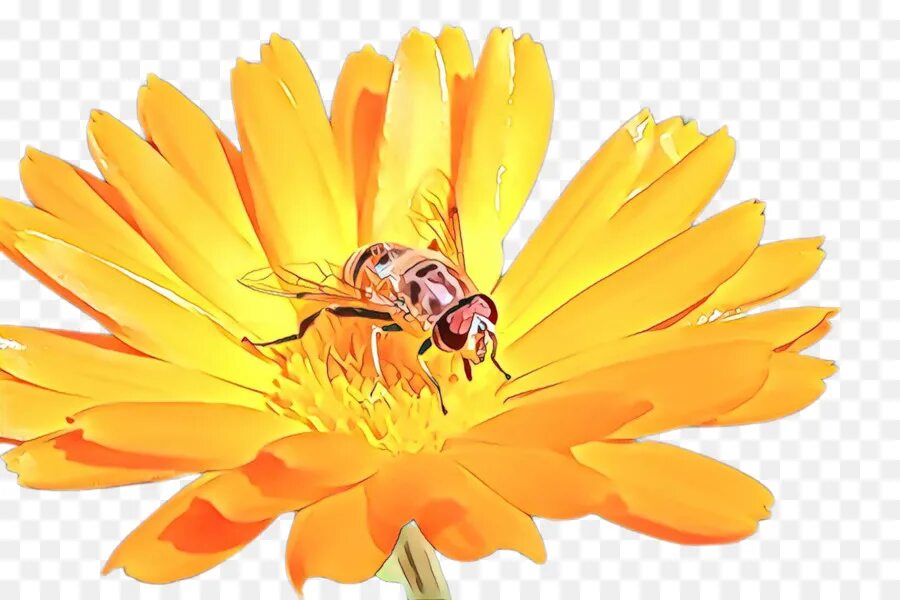 Нектар рисунок. Пчела на прозрачном фоне. Пчелка на прозрачном фоне. Нектар картинка для детей на прозрачном фоне. Цветок с нектаром рисунок.