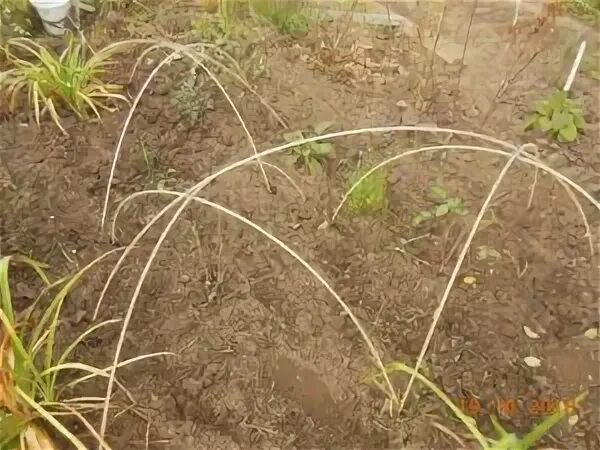 Арматура для укрытия роз