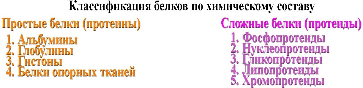 Белки химический состав строение и классификация. Классификация белков протеины и протеиды. простые белки опорных тканей. белки гетерополимеры. чем отличаются протеины от протеидов.