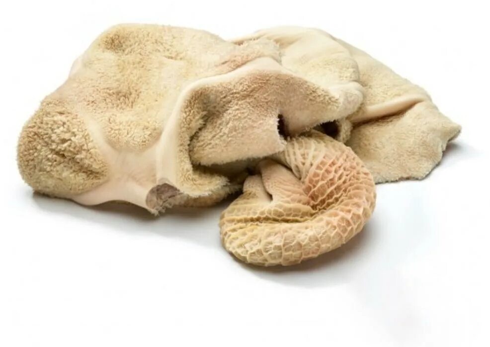 Рубец говяжий неочищенный. Вред рубца говяжьего. Вред рубца говяжьего. Вред рубца говяжьего. Рубец сушеный для собак.