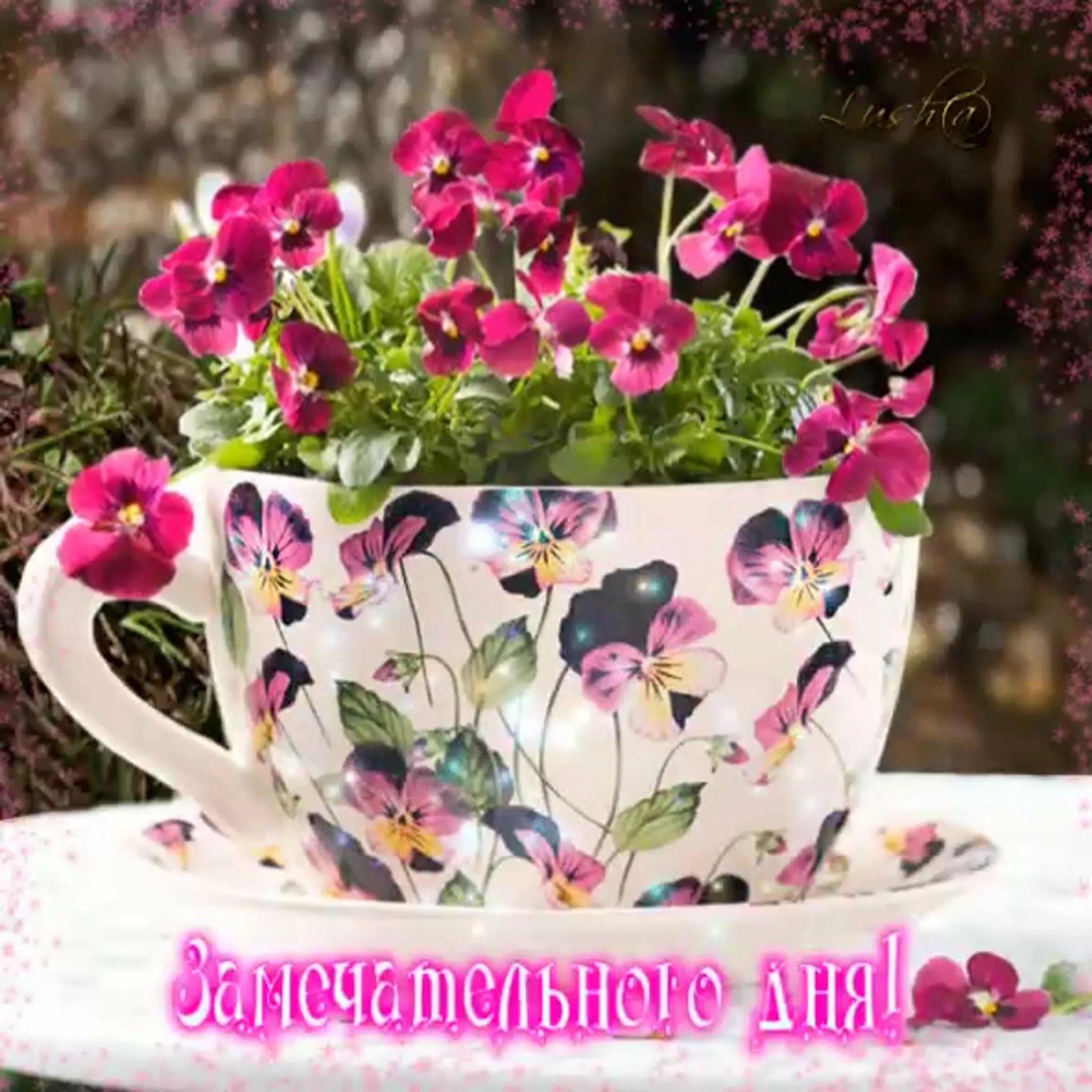 Замечательного утра и прекрасного дня настроения. Цветы в чашке. Чудесного дня и отличного настроения цветы. Чудного утра и прекрасного дня. Доброго утра и хорошего дня цветы.