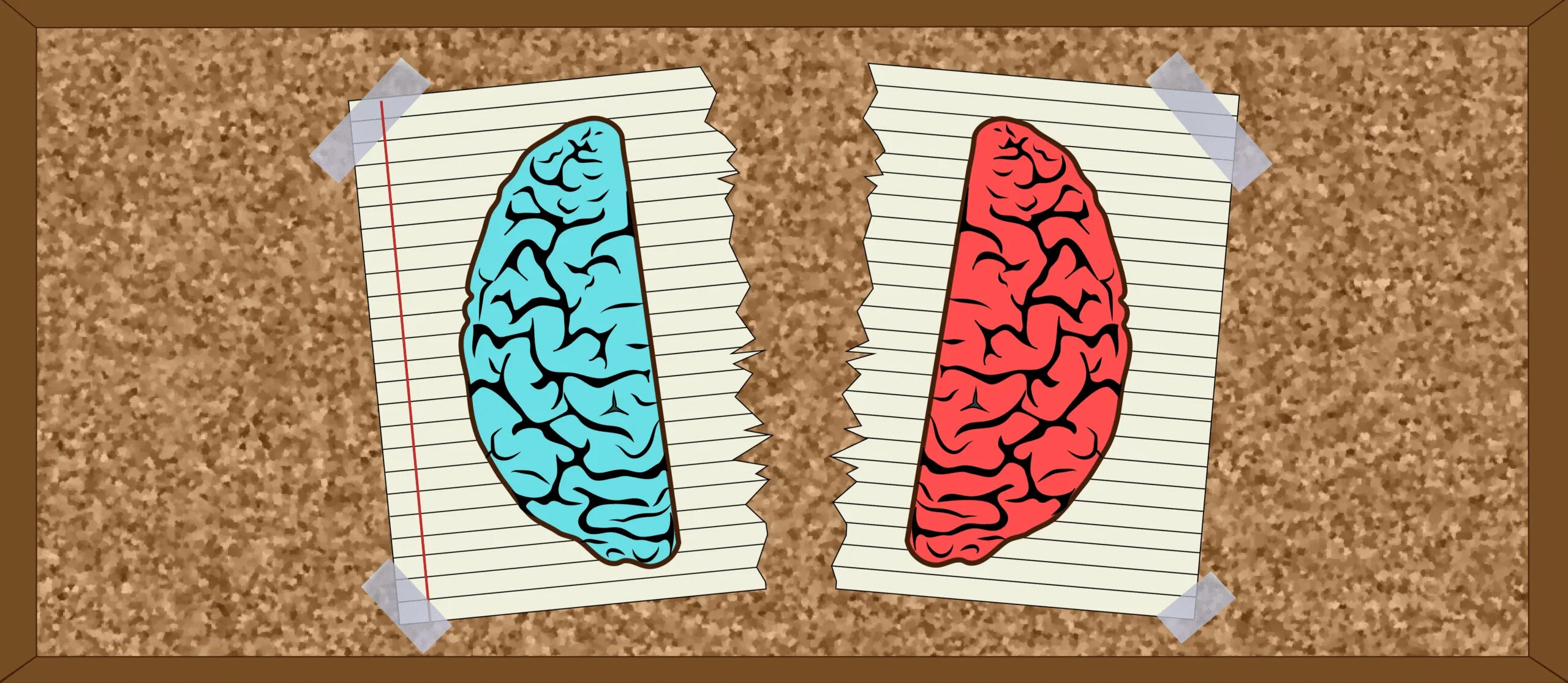 Split brain. Роджер Сперри. Синдром расщепленного мозга. Левое и правое полушарие мозга. Два полушария мозга.