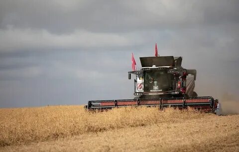 Комбайны ростов на дону