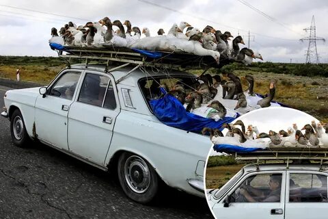 Не куда не ездили
