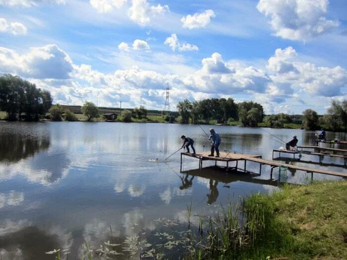 Мичуринский пруд мордовия. Озеро савельево переславский. Платная рыбалка в домодедово. Рыбалка аряш. Платная рыбалка.
