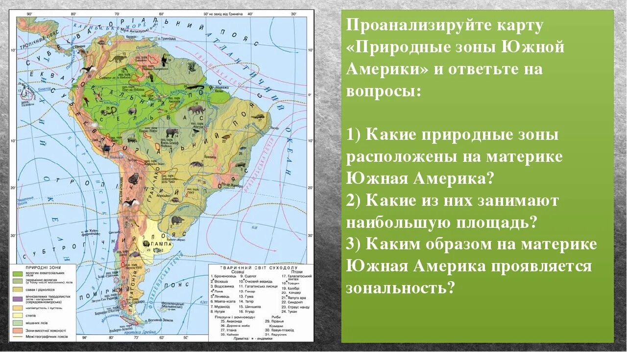 Природные зоны северной и южной америки. Природные зоны Южной Америки таблица местоположение. Природные зоны и провинции Южной Америки на карте. Природные зоны Южной Америки Сельва пампа. Карта природных зон Южной Америки 7 класс.