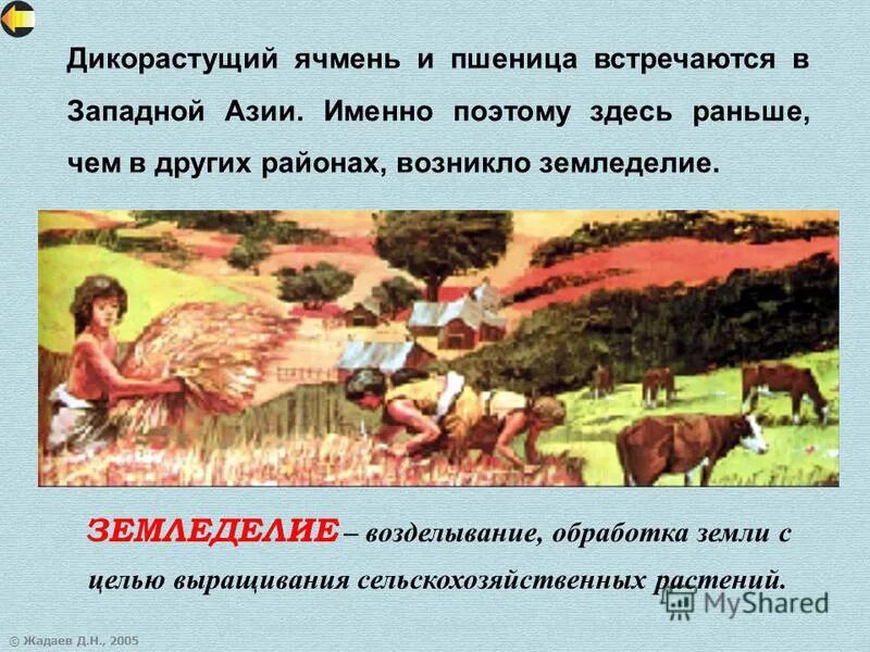 Появление земледелия. Новое ремесло обработка металлов появилось в западной азии. Хозяйство америки земледелие индейцы. Земледелие в древнем риме. Неолитическая революция земледелие.