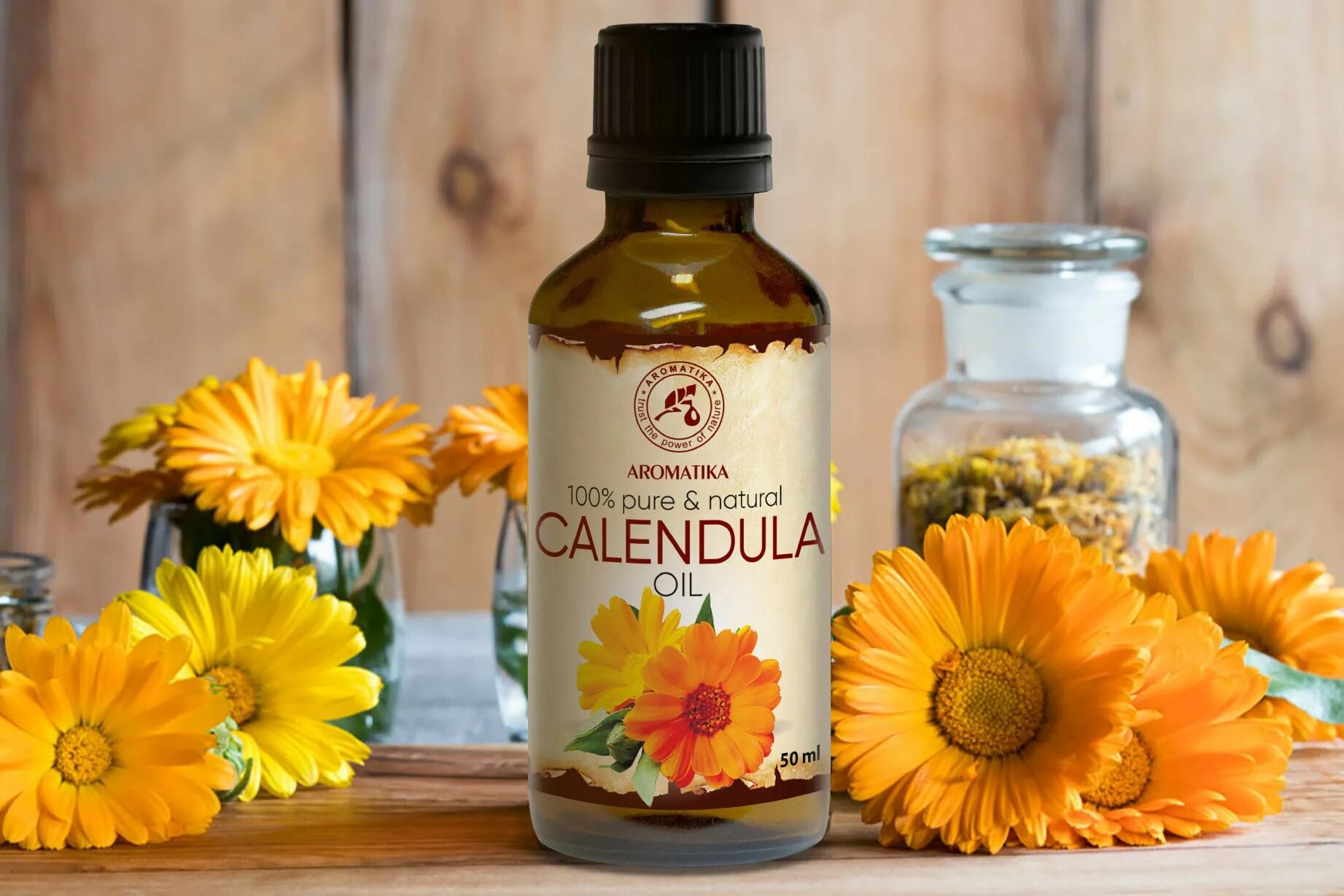 Календула оффициналис. Calendula officinalis Flower extract. Kejo календула. Календула лекарственная (Calendula officinalis).