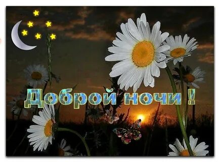 Добрый вечер августа гифки