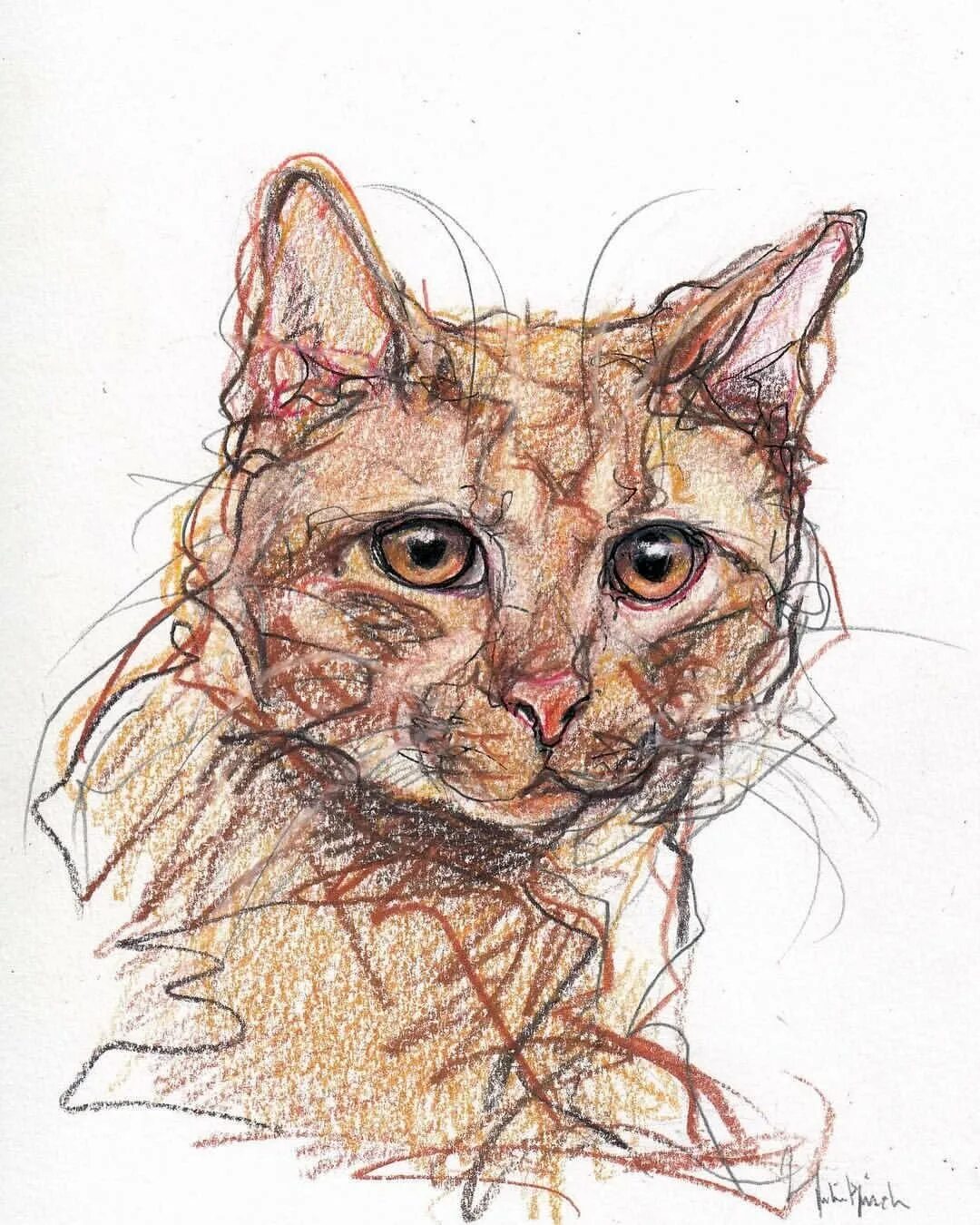 Кот рисунок цветной. Наброски цветными карандашами. Кошка цветными карандашами. Кошка акварельными карандашами. Портрет кота.