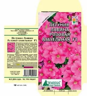 Петуния томск профессиональные