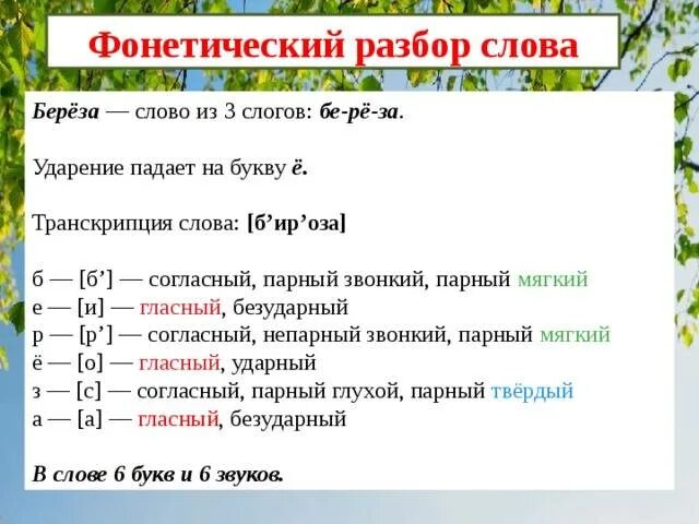 Звуки букв имя. Разбор фонетический разбор слова. Звуковой анализ слова береза. Звуковой разбор слова береза. Как делать фонетический разбор 3 класс.