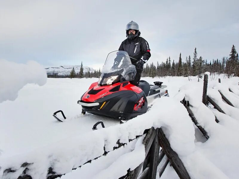 Снегоход брп ети купить. Lynx 59 Yeti 600 Ace. Снегоход BRP 59 Yeti 600 Ace. Снегоход Lynx 69 Yeti 600 Ace. BRP Lynx Yeti 59.