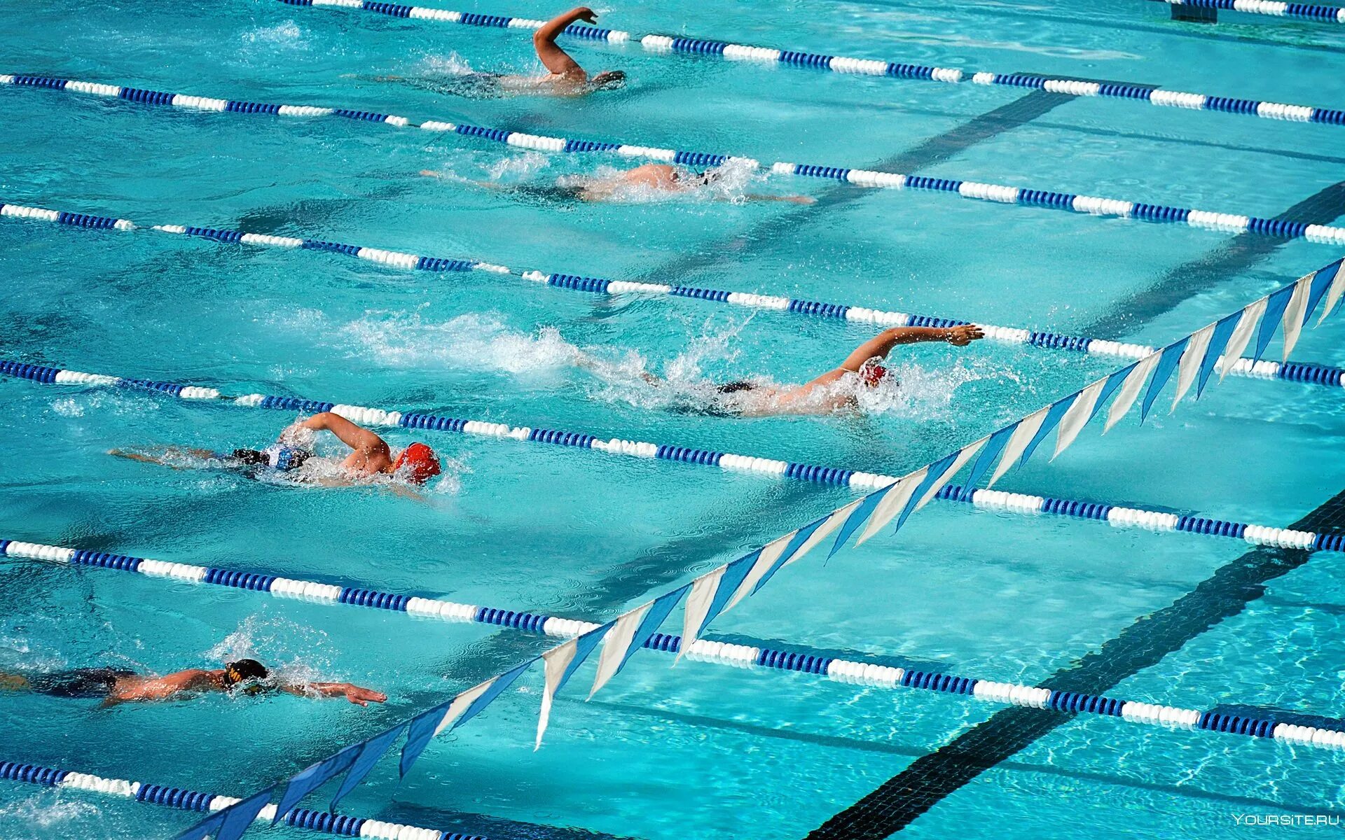 Человек плывет в бассейне. Плавание вид спорта. Бассейн сфу красноярск. Про бассейн. Лечебное плавание.