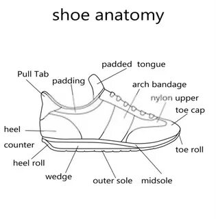 Running Shoe Anatomy.