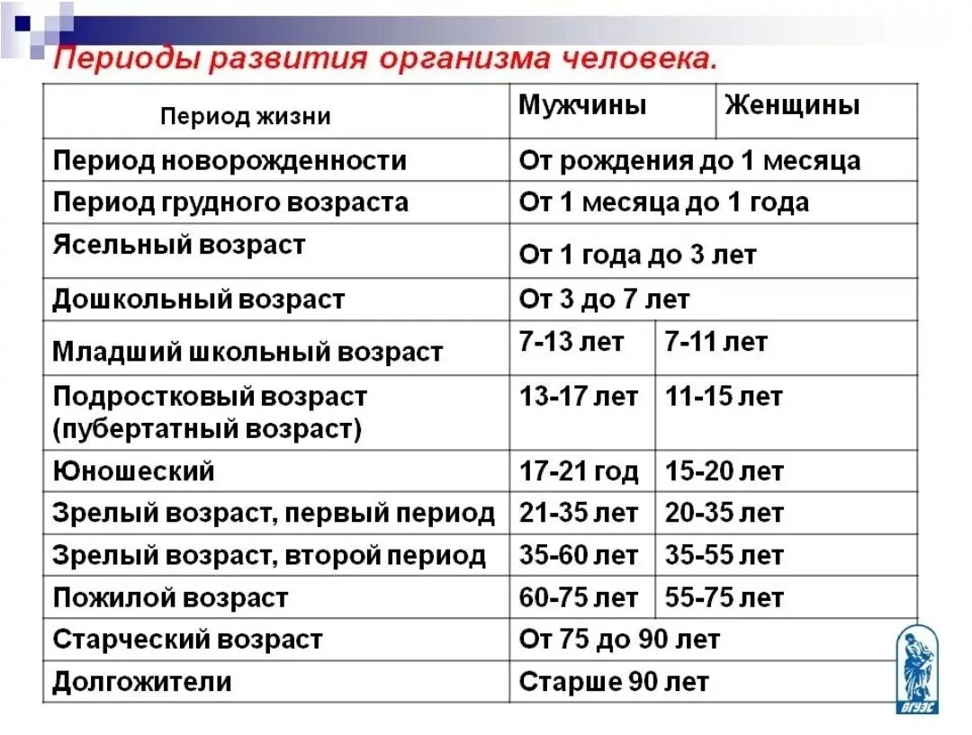 Развитие человека возрастные процессы 8 класс. Возрастные периоды развития организма. Этапы развития человека Возраст. Основные возрастные периоды жизни человека. Возрастные периоды жизнедеятельности человека.