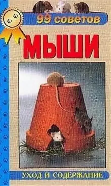 Мышь уход и содержание