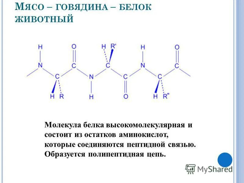 белок состоит из 150 аминокислотных остатков. 10000000000000000000000000000000000000000000000000год. белок состоит из 150 аминокислотных остатков. белок аминокислоты схема. биополимеры белки строение.