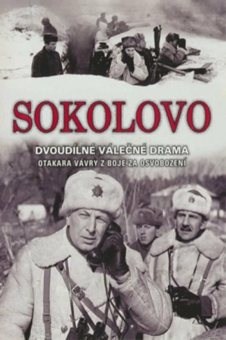 Осташево усадьба романовых. Соколово прокопьевский. Соколово время. Сокол дос 17. Зарайск совхоз чулки соколово.