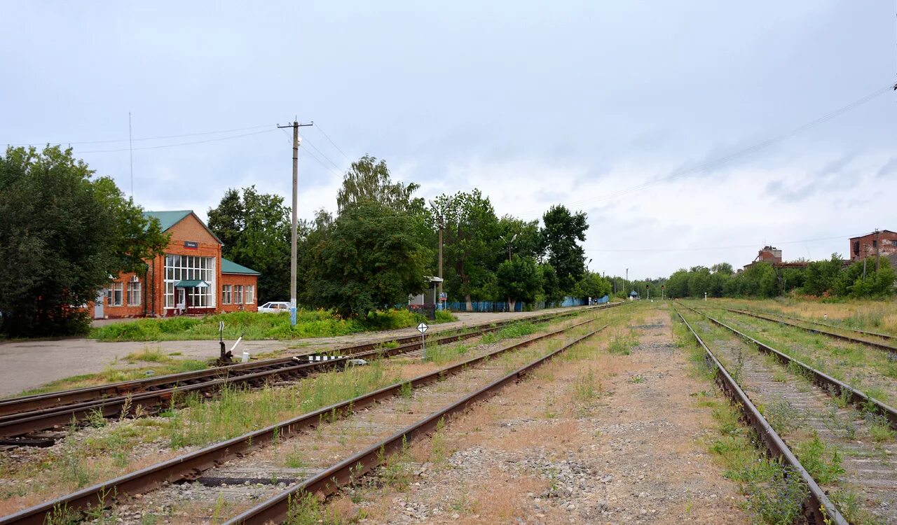 Д. Станция вернадовка тамбовская. Кустаревка станция в пензенской области. Прогноз погоды в морсово на две. Морсово вернадовка.
