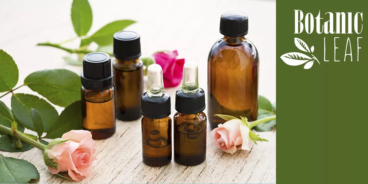 натуральные масла. натуральные масла фото. натуральные масла фото. растительные масла в косметике. натуральные масла фото.