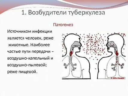 Воздушно капельным путем у детей