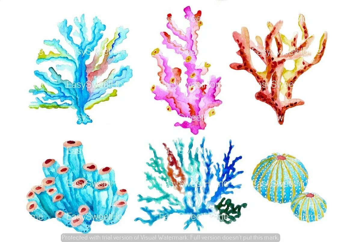 Водоросли для детей. Акварель водоросли ламинарии. Кораллы для дошкольников. Кораллы для рисования. Кораллы рисунок.