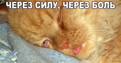 Не я но через меня
