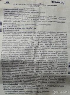 Дибикор как принимать до еды или