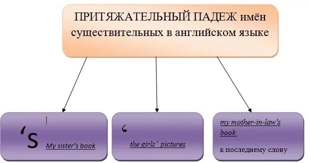 Притяжательный падеж правильно образовано словосочетание. Притяжательный падеж существительных в английском языке. притяжательные конструкции в английском языке. притяжательный падеж в английском языке множественное число. притяжательный падеж существительного.