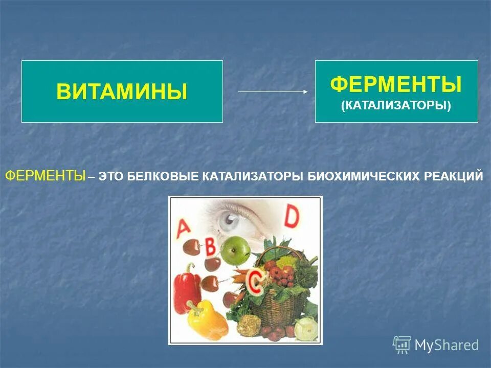 Азот в пищевых продуктах. Продукты богатые азотом. Л аргинин содержание в продуктах таблица. Продукты богатые оксидом азота питания. Азот в пищевых продуктах.