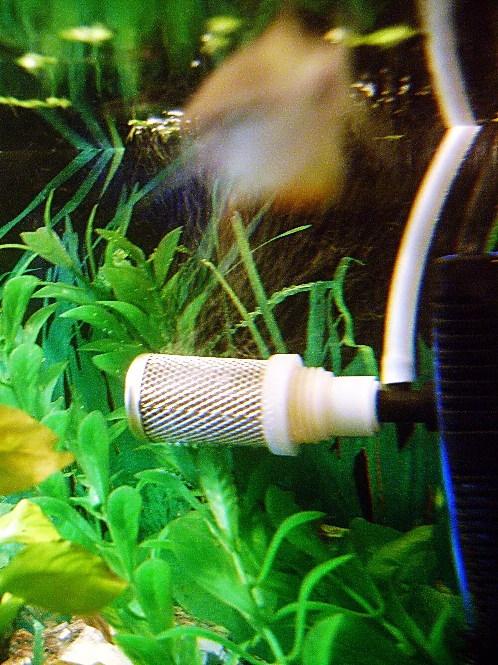 Воздушный фильтр для аквариума. Фильтр для креветочника. Насадка на фильтр для аквариума. Внешний фильтр для креветочника. Как понизить воду в аквариуме