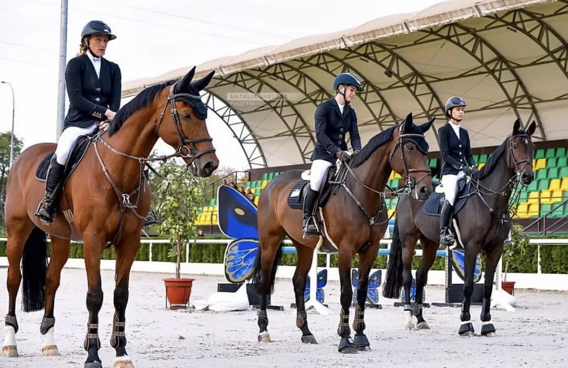 Хорс белгород. КСК Голден Хорс. Голден Хорс Таганрог. Golden Horse Таганрог. Таганрог конно-спортивный клуб Golden Horse.