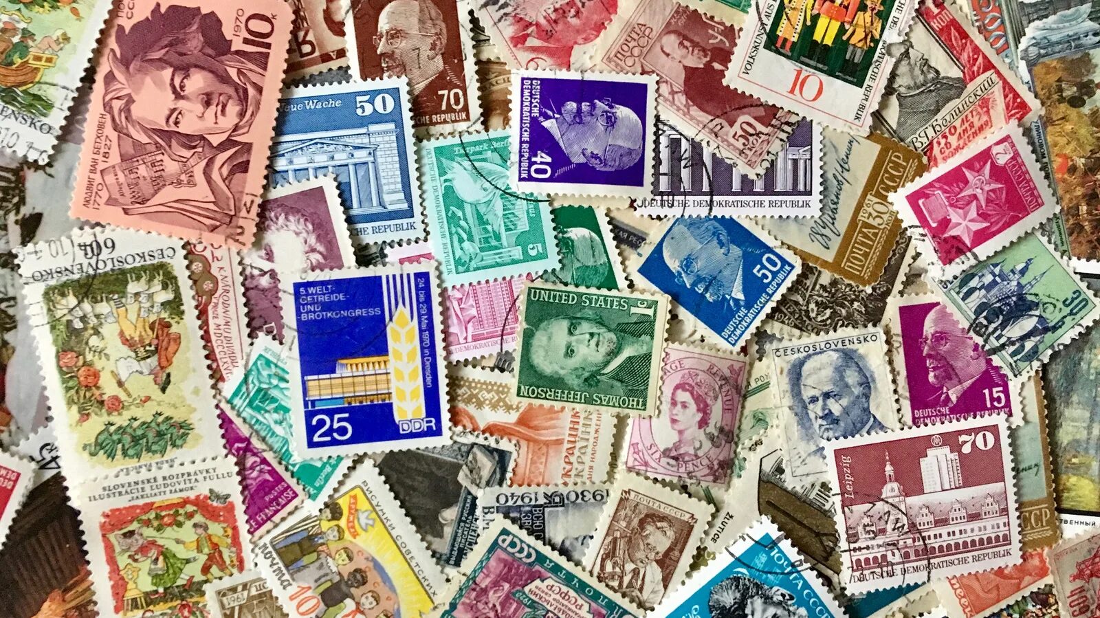 What is a collection