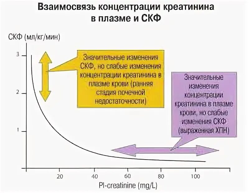 Норма креатинина плазмы. Концентрация креатинина в плазме. Креатинин в плазме крови норма. Как снизить креатинин в крови. Снизить креатинин народными