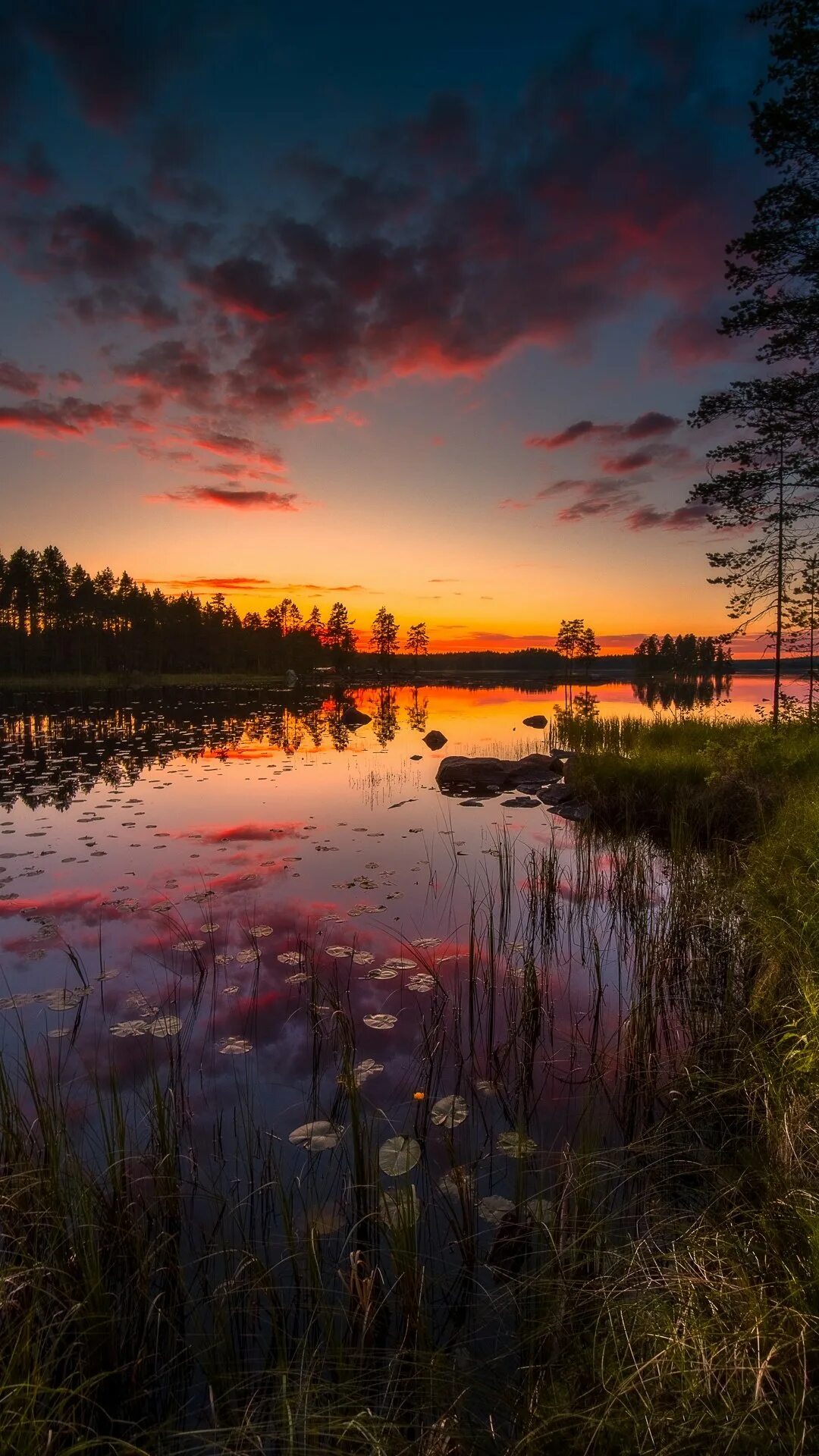 вечерний пейзаж. летний закат. природа вечер. вечерний пейзаж. природа вечер.