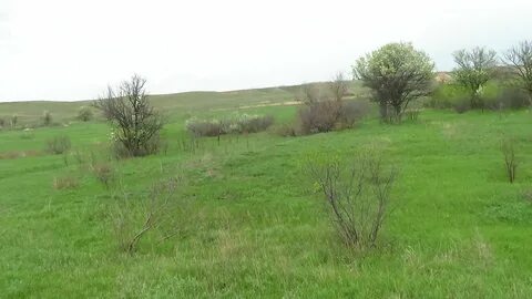 Погода в грачах волгоградская область