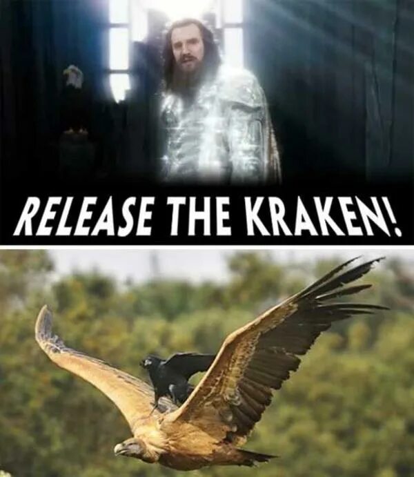 Release the Kraken Мем. Release the Kraken in PN. 5.11 Release the Kraken.
