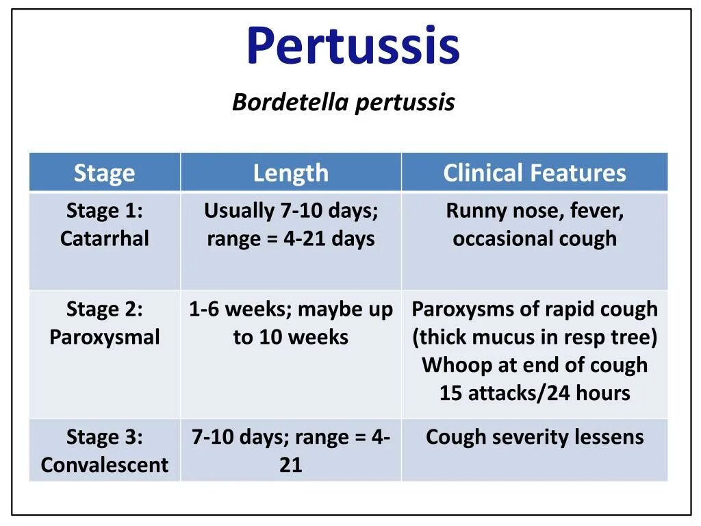 Бордетелла пертуссис IGM. Pertussis (антитела IGM). Бордетелла пертуссис IGG что это. Anti-Bordetella pertussis IGG нормы. Bordetella pertussis igg положительно