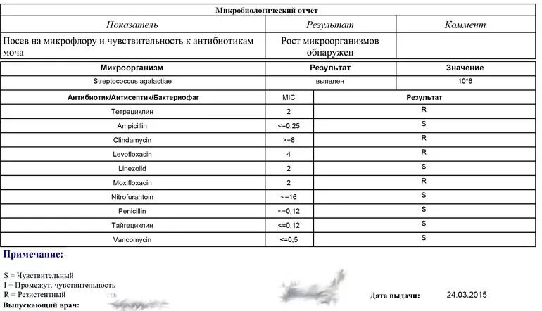 Анализ на микрофлору расшифровка. Посев мочи на чувствительность к антибиотикам. Бак посев на флору и чувствительность к антибиотикам норма. Посев на микрофлору и чувствительность к антибиотикам расшифровка. Моча на флору и чувствительность к антибиотикам нормы.