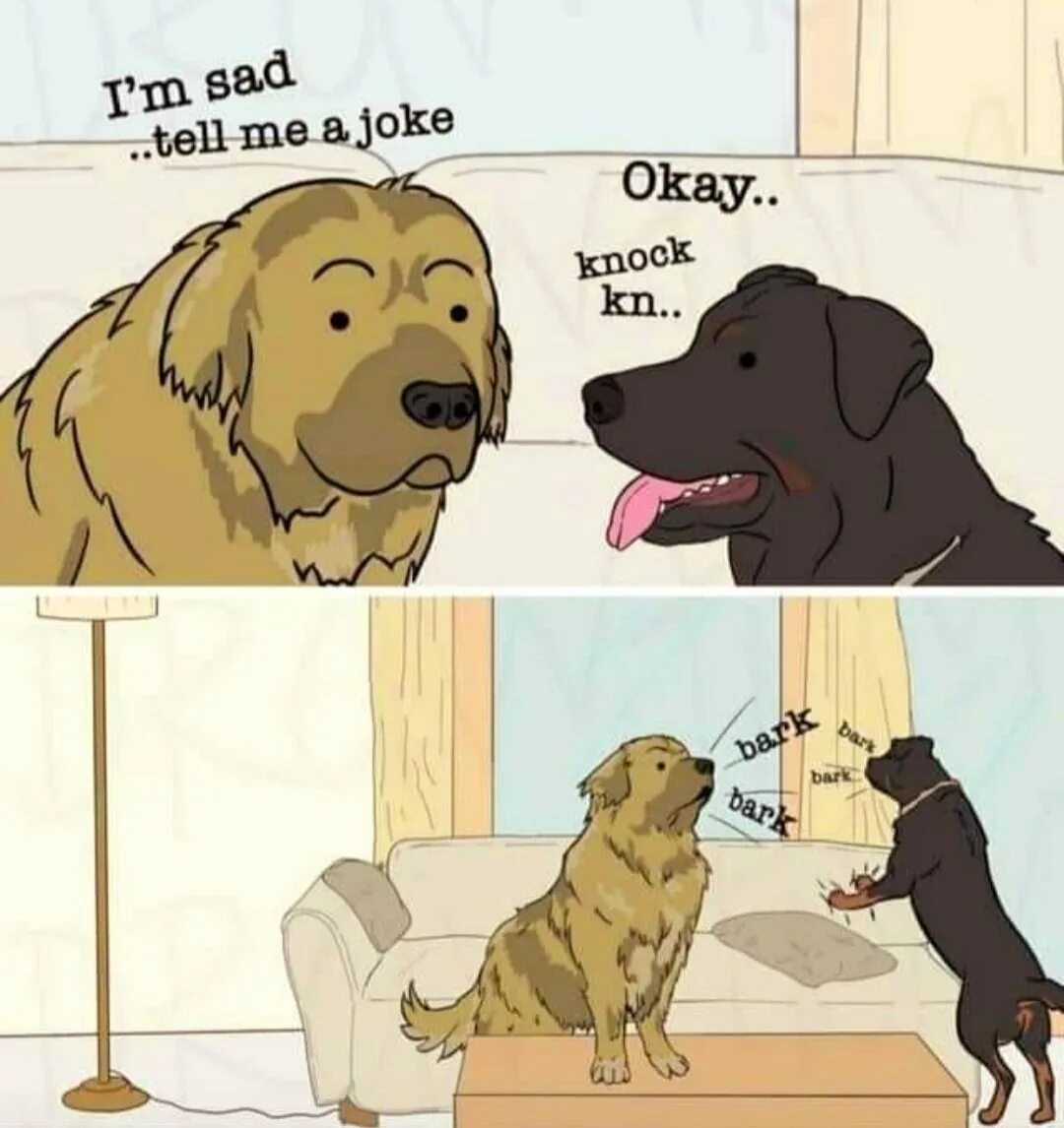 Knock Knock meme. Три собаки Мем. Woof meme. Knock Knock Мем.