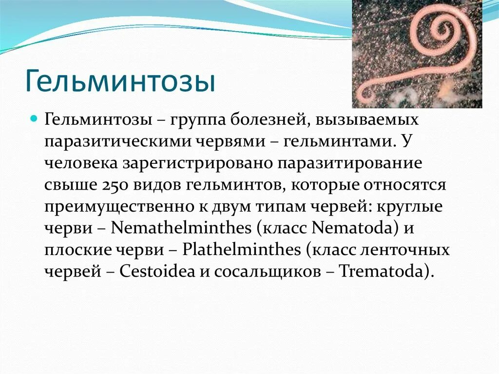 Гельминтоз причины. Гельминтозы заболевания. Глистные заболевания гельминтозы. Заболевания вызванные паразитическими червями.