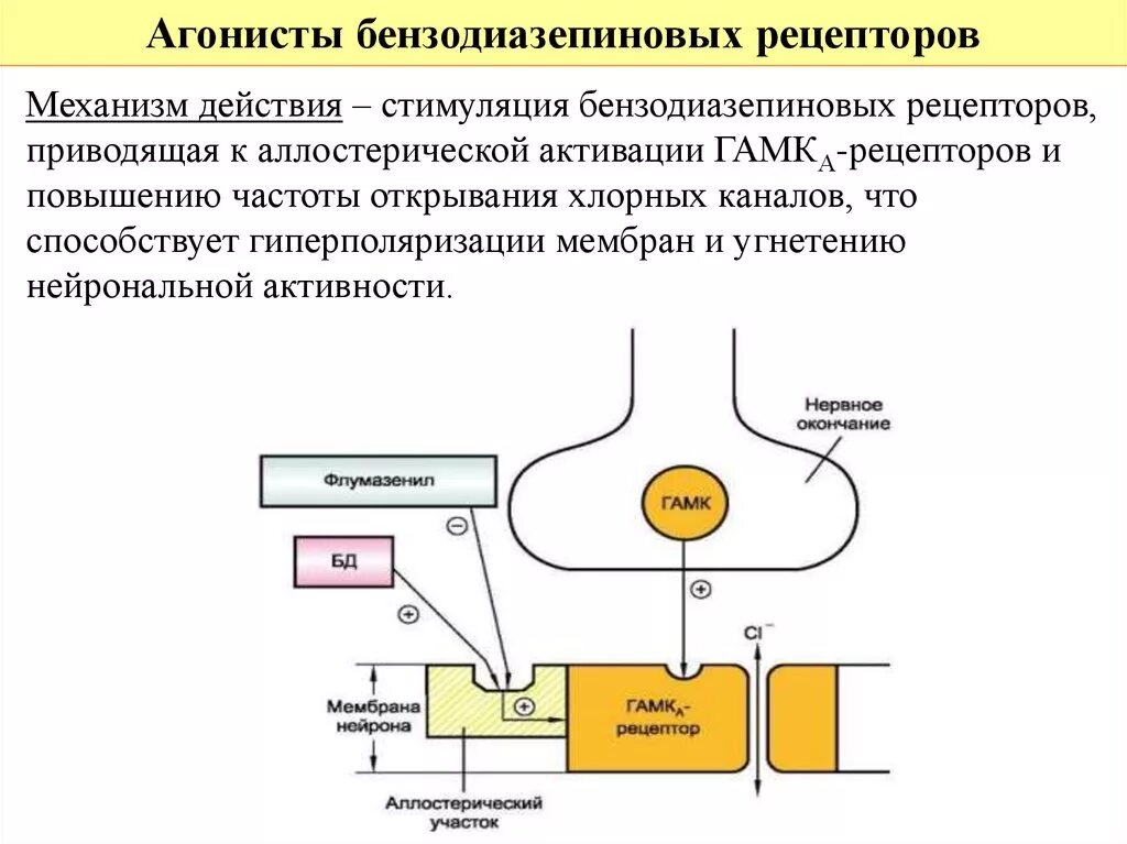 ГАМК рецепторы схема. Агонисты бензодиазепиновых рецепторов механизм действия. Механизм действия бензодиазепинов. Агонист бензодиазепиновых рецепторов механизм действия.